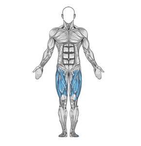 Single-leg dumbbell Romanian deadlift muscle diagram